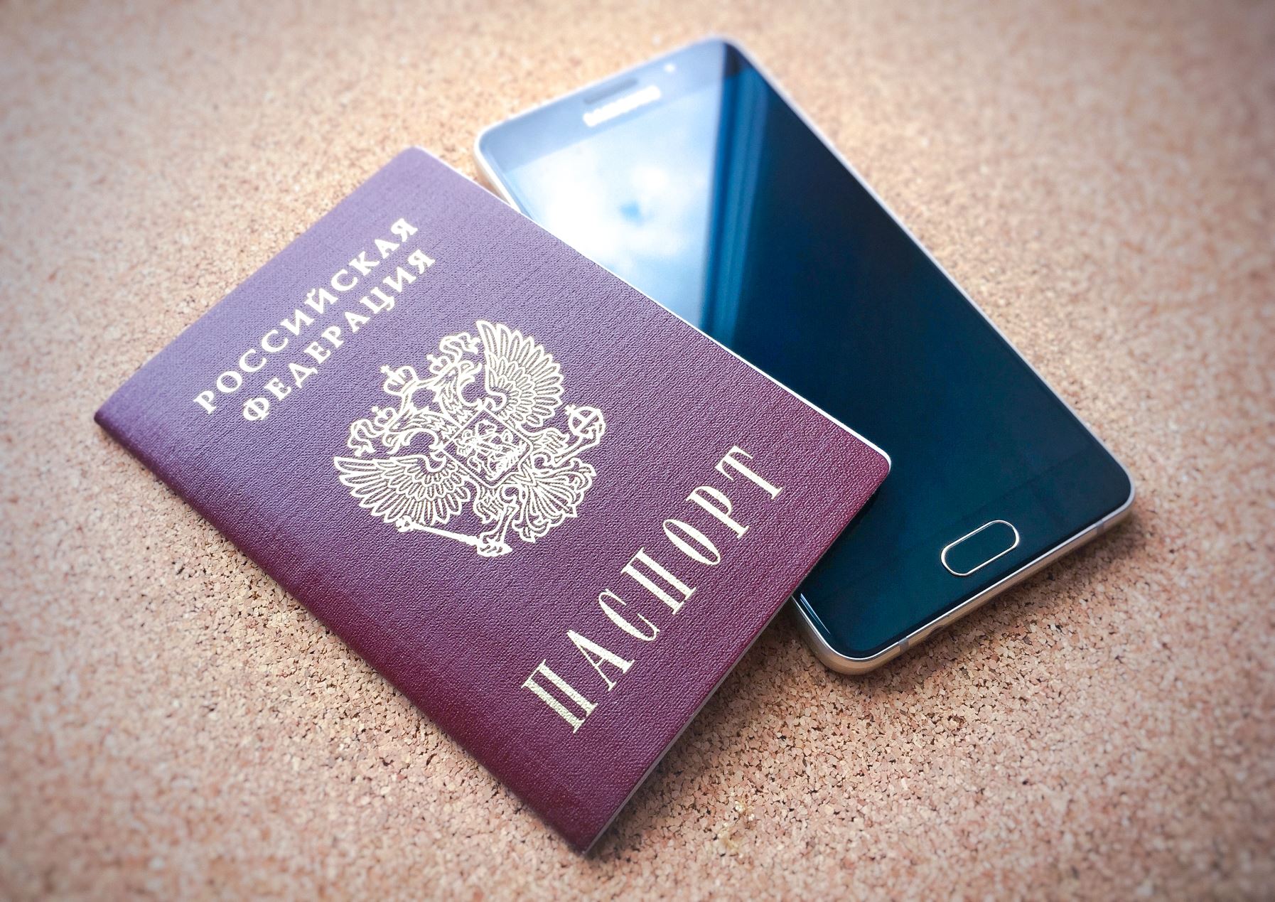 Девушка с телефоном и паспортом