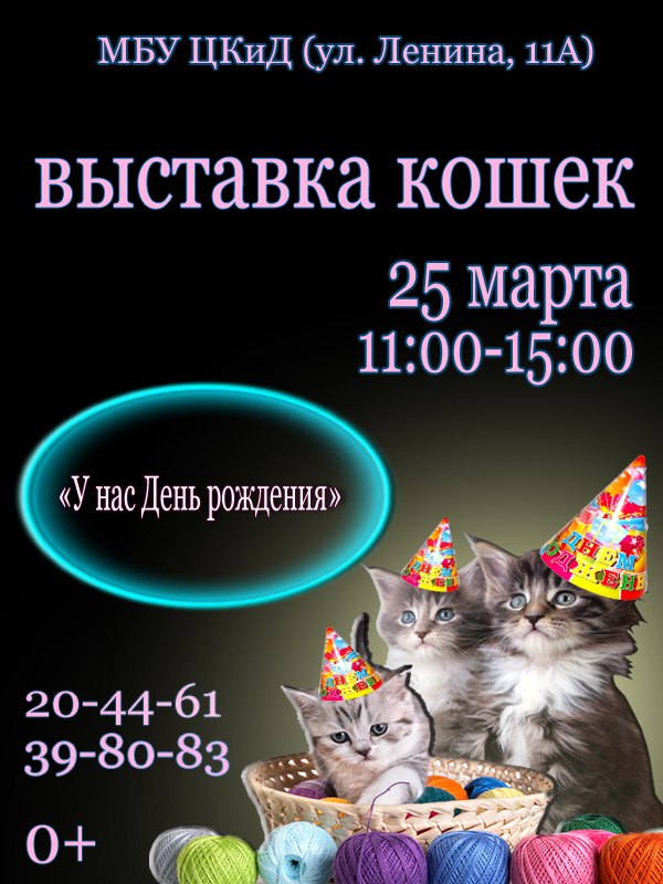 Выставка кошек «У нас день рождения»