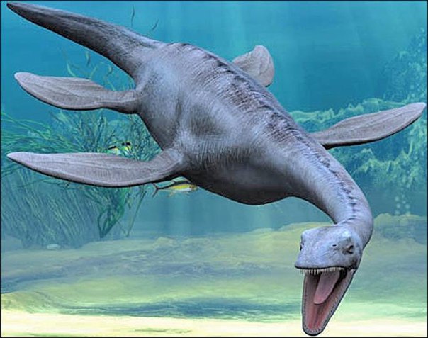 Обнаруженный иссинский плезиозавр покинул Пензенскую область из-за нехватки финансов на его приобретение
