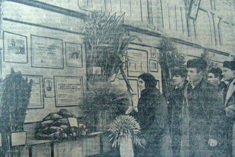 Посетители сельскохозяйственной выставки осматривают павильон «Наука». Фото Н. Павлова («Сталинское знамя» от 5 ноября 1952 г.)