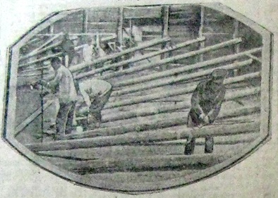 Строительство цирка «Красногвардеец» («Рабочая Пенза» от 3 августа 1932 г.) Строительство цирка «Красногвардеец» («Рабочая Пенза» от 3 августа 1932 г.)