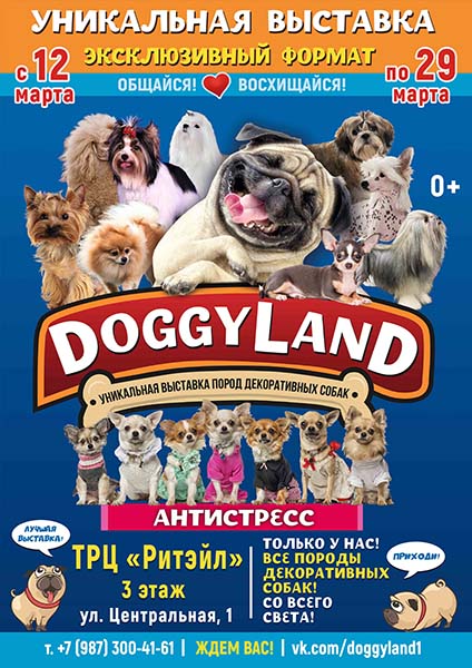 Выставка собак "Догги Лэнд" / "Doggy land"